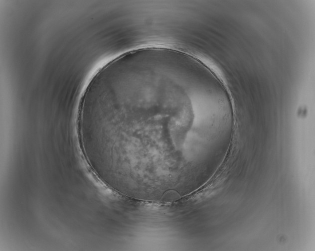 X0000091291104200708101241