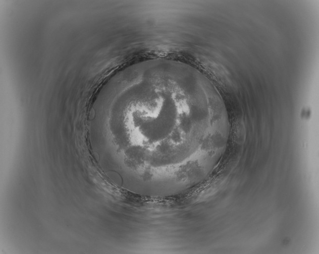 X0000091291105200708101240