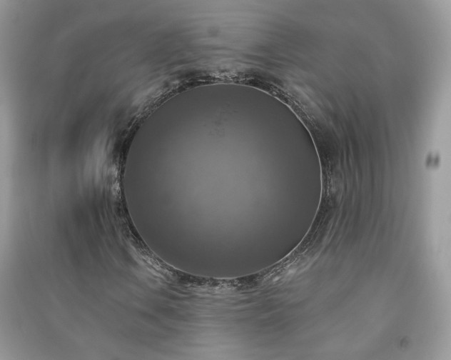 X0000091291106200708101240