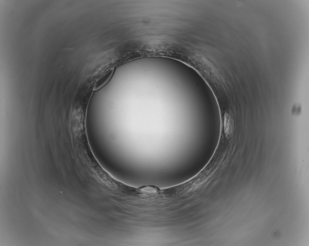 X0000091291107200708101240