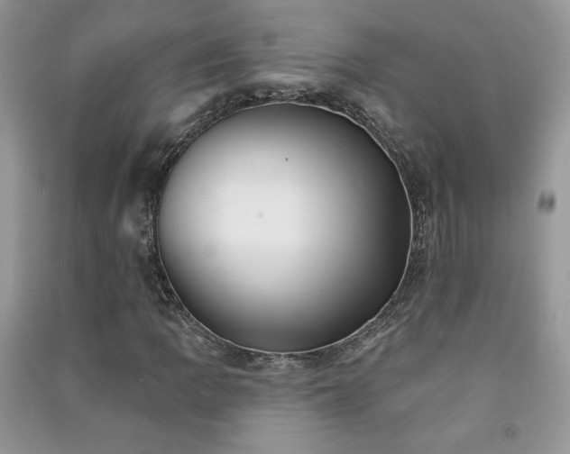 X0000091291109200708101240