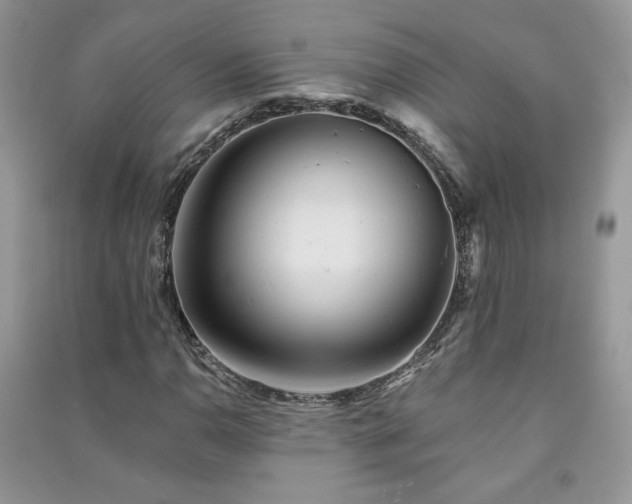 X0000091291110200708101240