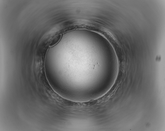 X0000091291111200708101240