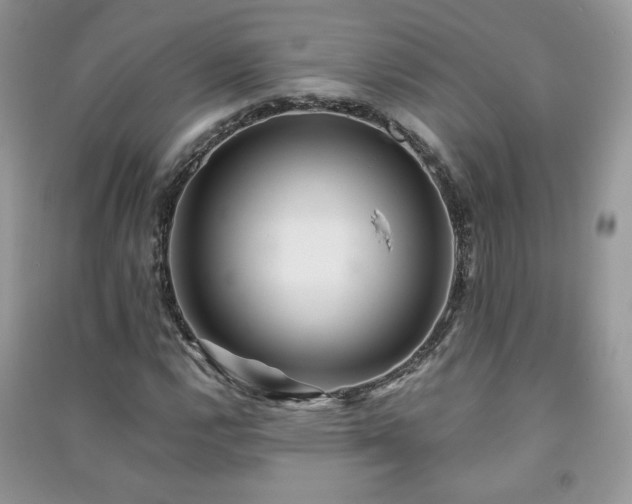 X0000091291112200708101240