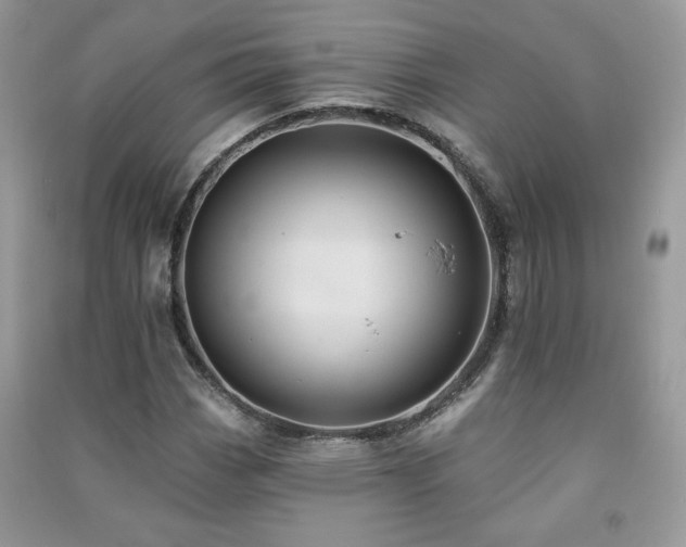 X0000091291113200708101240