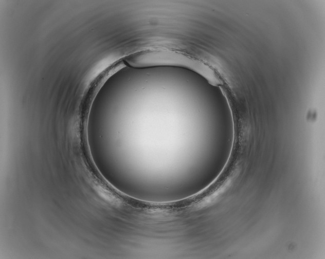 X0000091291114200708101240