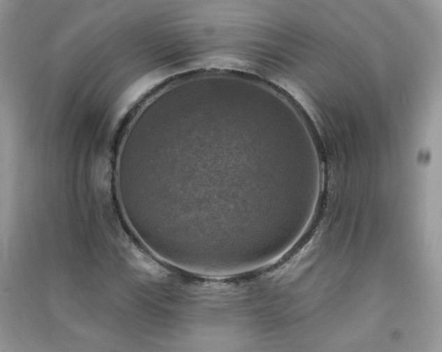 X0000091291115200708101240