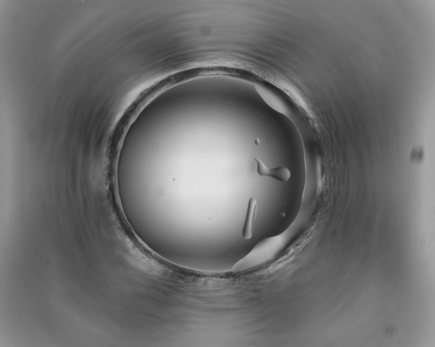 X0000091291116200708101240