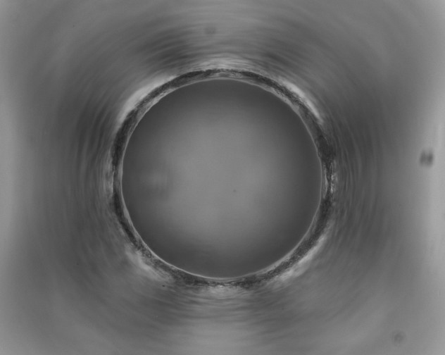 X0000091291117200708101240