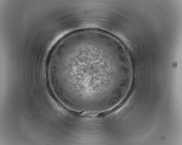 X0000091291118200708101240