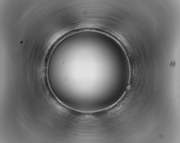 X0000091291119200708101240