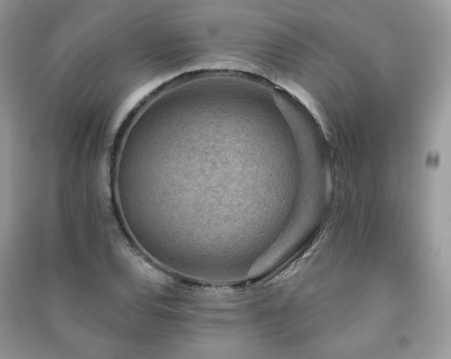 X0000091291120200708101240