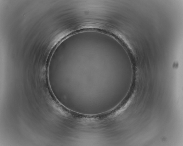 X0000091291121200708101240