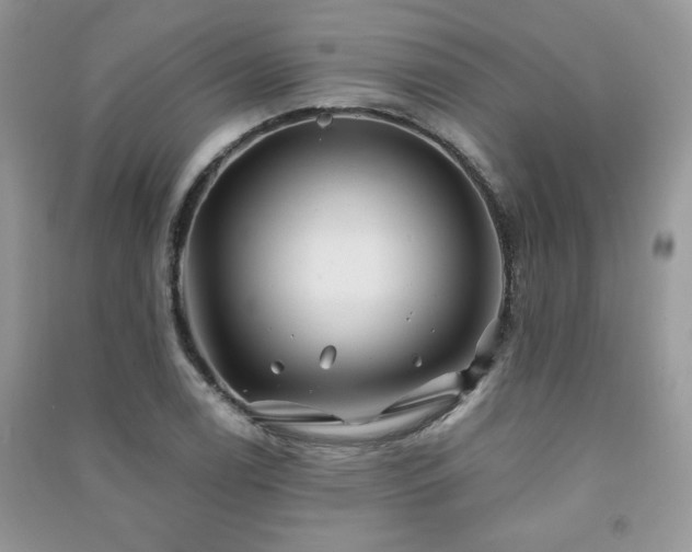 X0000091291122200708101240