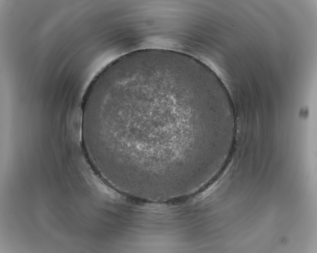 X0000091291123200708101240