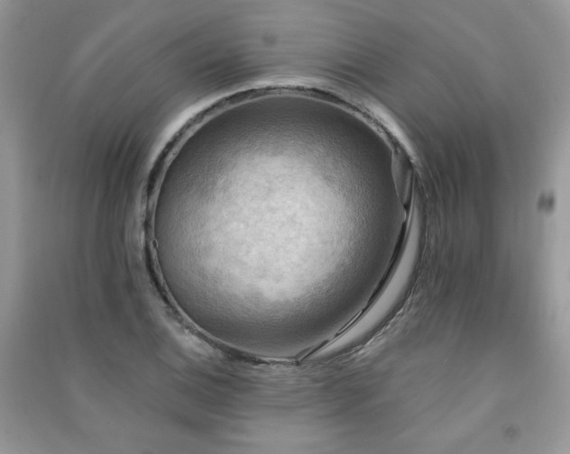 X0000091291124200708101240