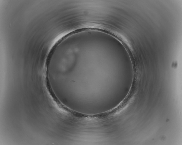 X0000091291125200708101240