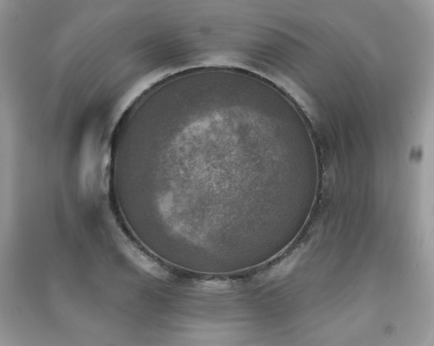 X0000091291126200708101240