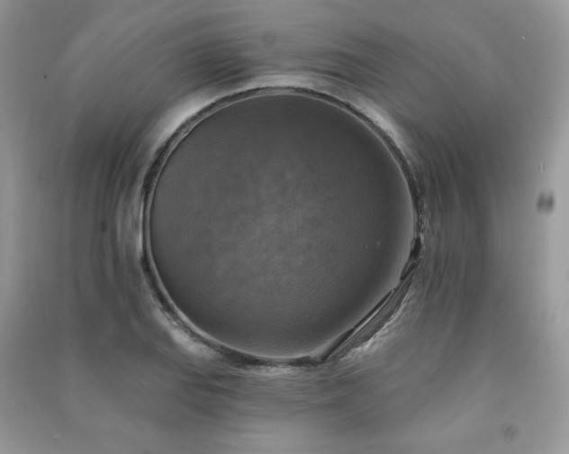 X0000091291127200708101240