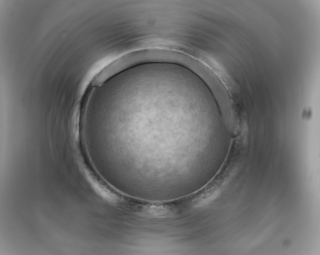 X0000091291128200708101240