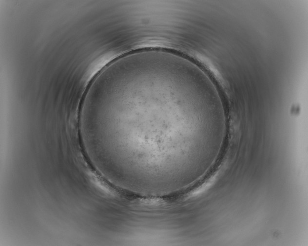 X0000091291129200708101241