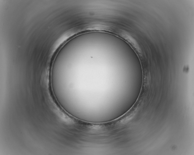 X0000091291130200708101241