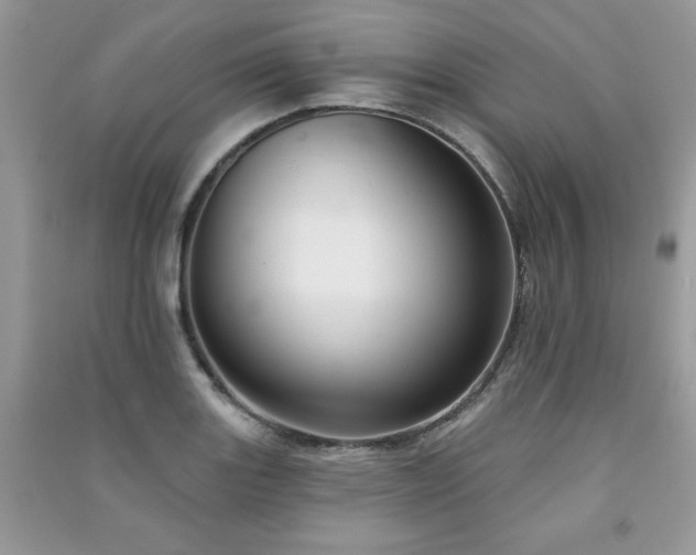 X0000091291131200708101241