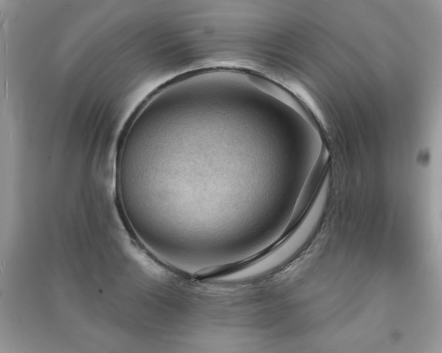 X0000091291132200708101241