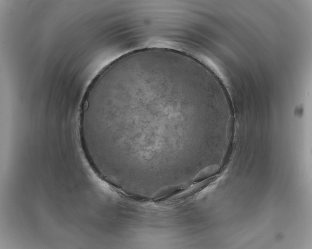 X0000091291133200708101241