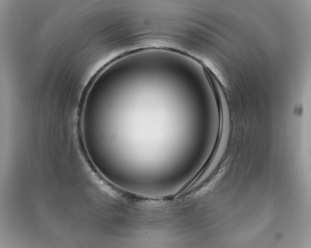 X0000091291134200708101241