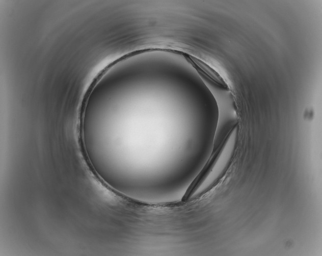 X0000091291136200708101241