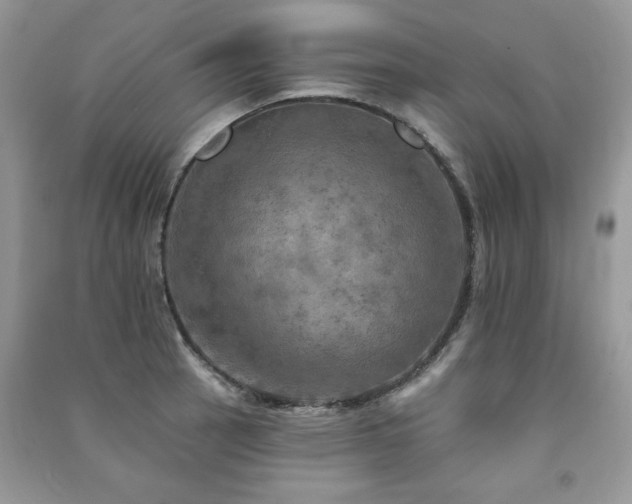 X0000091291137200708101241