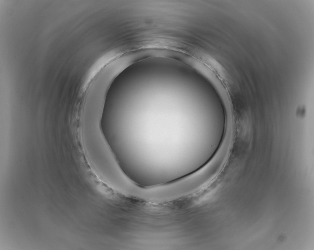 X0000091291138200708101241