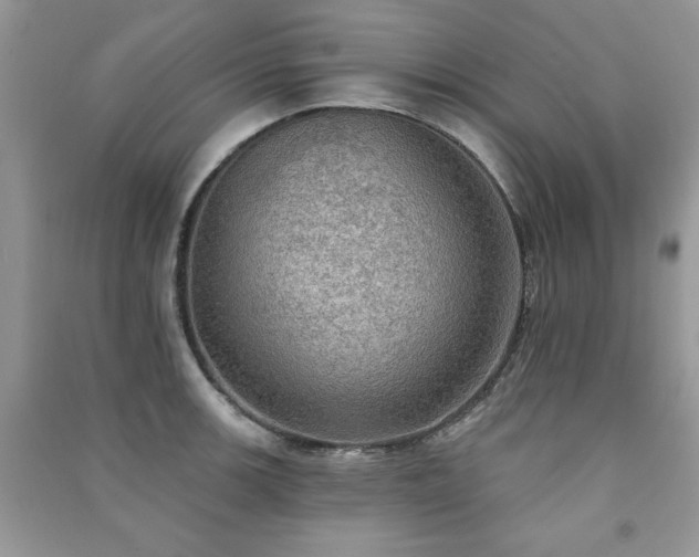 X0000091291139200708101241