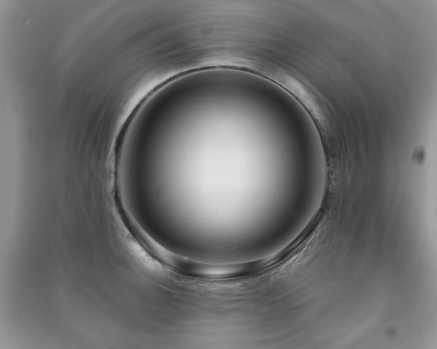 X0000091291140200708101241