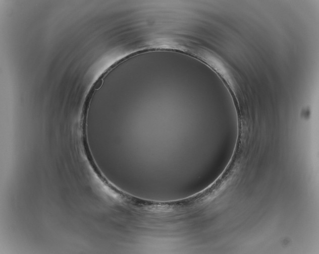 X0000091291141200708101241