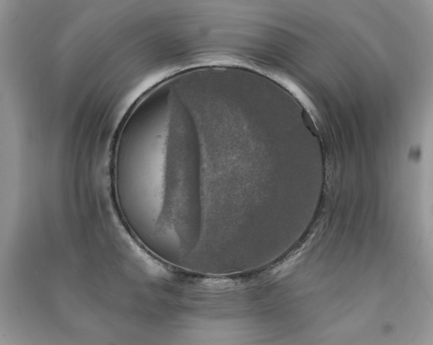 X0000091291142200708101241