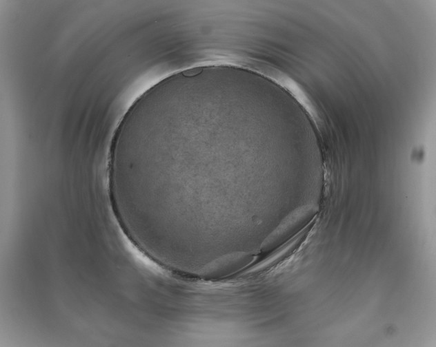 X0000091291143200708101241