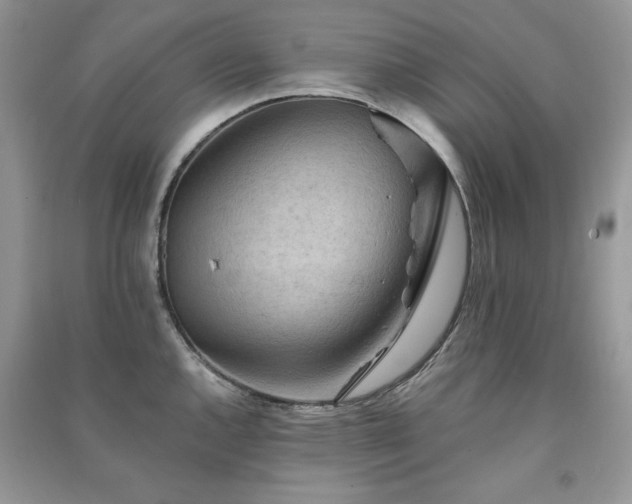 X0000091291144200708101241