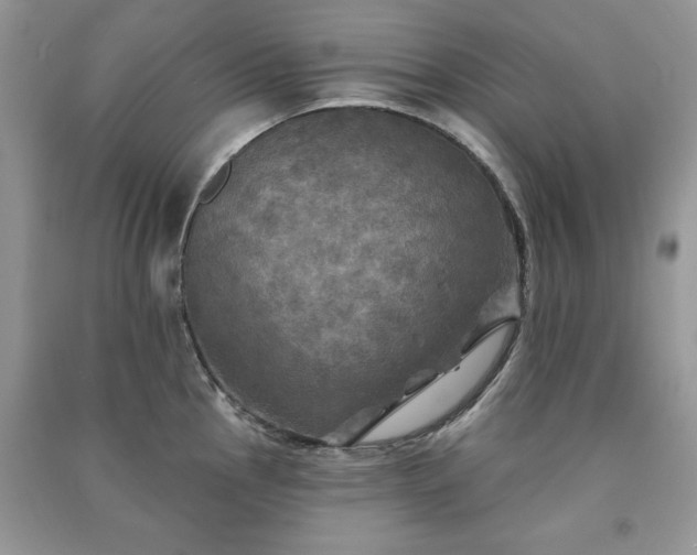 X0000091291145200708101241