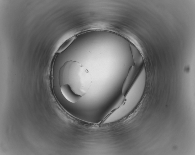 X0000091291146200708101241