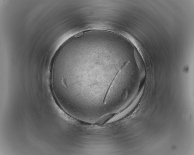 X0000091291147200708101241