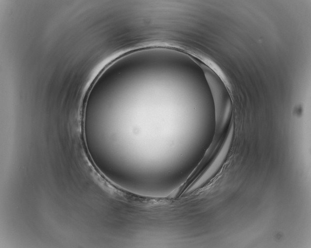 X0000091291148200708101241