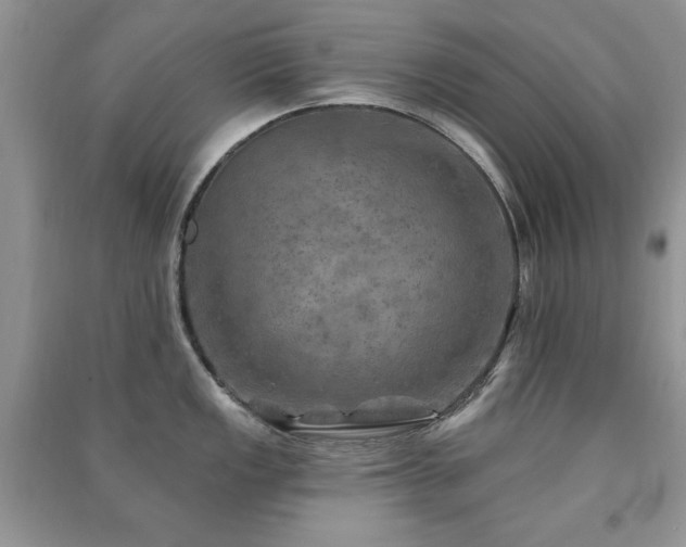 X0000091291149200708101241