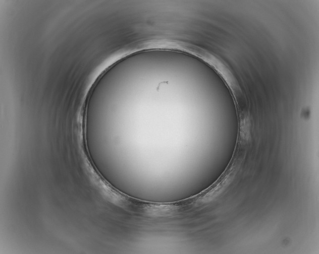 X0000091291150200708101241