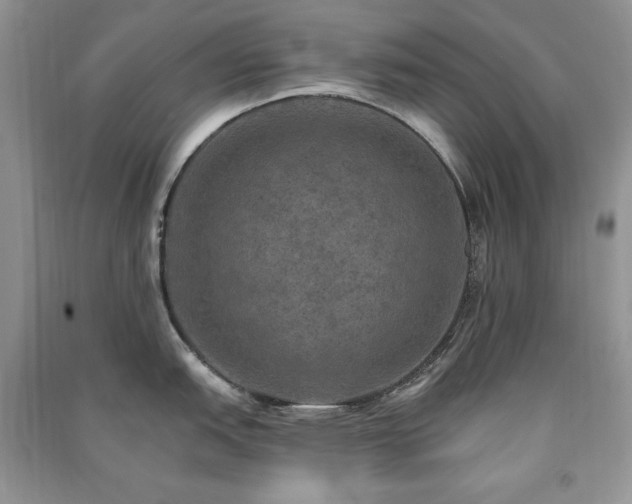 X0000091291151200708101241