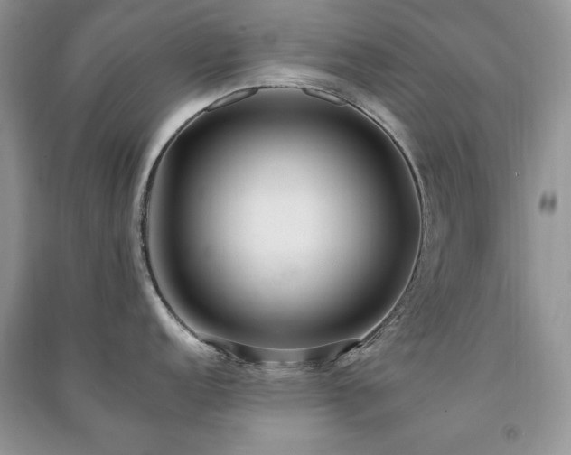 X0000091291152200708101241