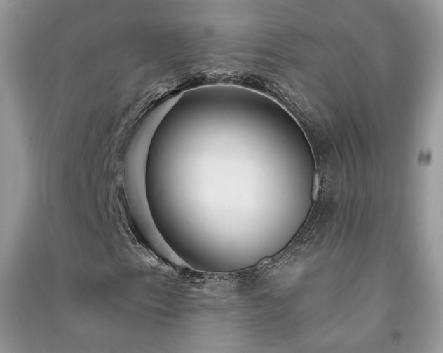 X0000091291153200708101240