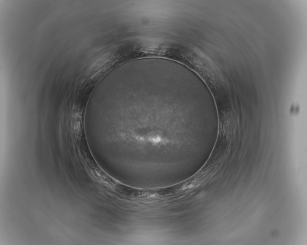 X0000091291154200708101240