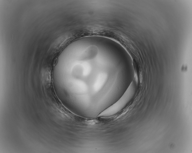 X0000091291155200708101240